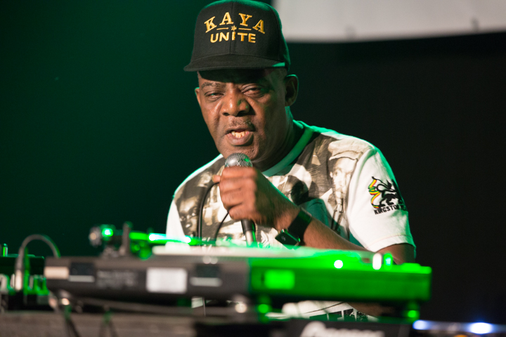 Reggae Geel Editie 2014 - Vriijdag, picture 34, photographed by FrontView Magazine
