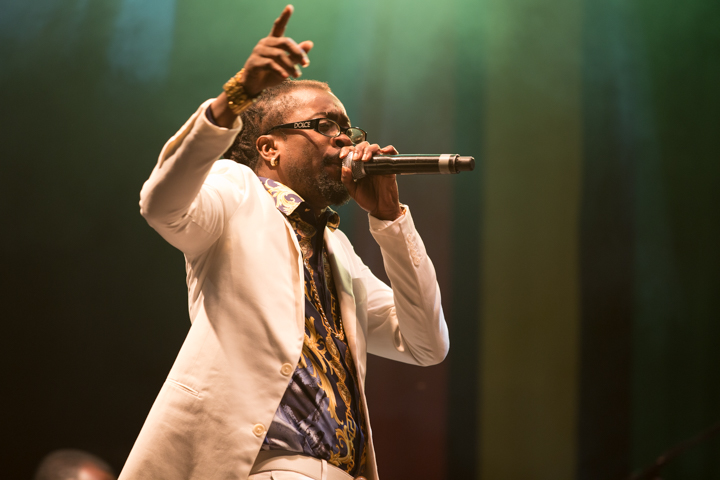 Reggae Geel Editie 2014 - Vriijdag, picture 48, photographed by FrontView Magazine