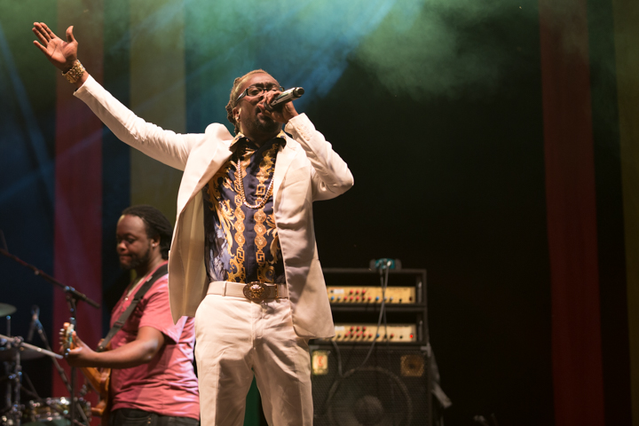 Reggae Geel Editie 2014 - Vriijdag, picture 49, photographed by FrontView Magazine