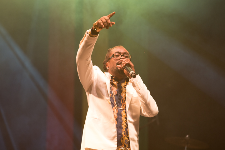Reggae Geel Editie 2014 - Vriijdag, picture 53, photographed by FrontView Magazine
