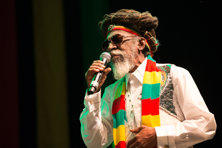 Reggae Geel Editie 2014 - Vriijdag, picture 78, photographed by FrontView Magazine