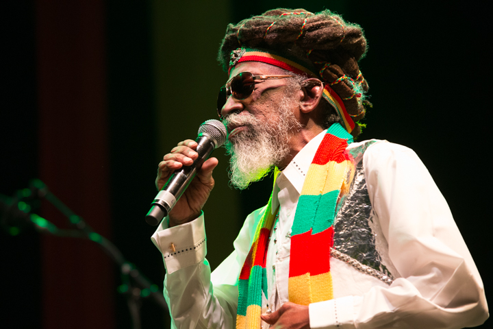 Reggae Geel Editie 2014 - Vriijdag, picture 79, photographed by FrontView Magazine