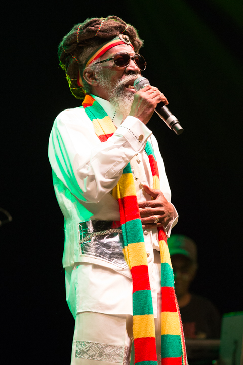 Reggae Geel Editie 2014 - Vriijdag, picture 80, photographed by FrontView Magazine
