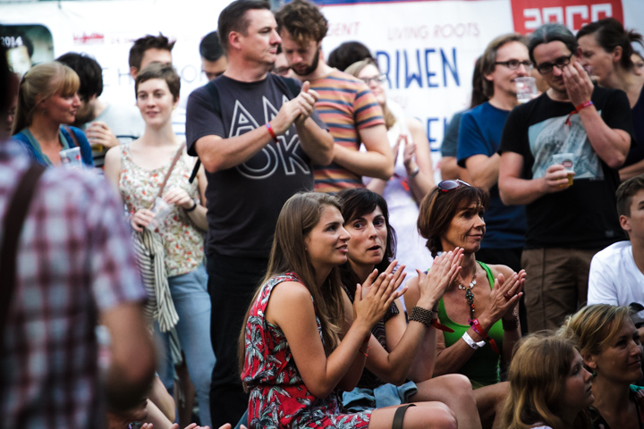 Ostyn @ M-idzomer 2014, picture 28, photographed by Tristan Herftijd - FrontView Magazine