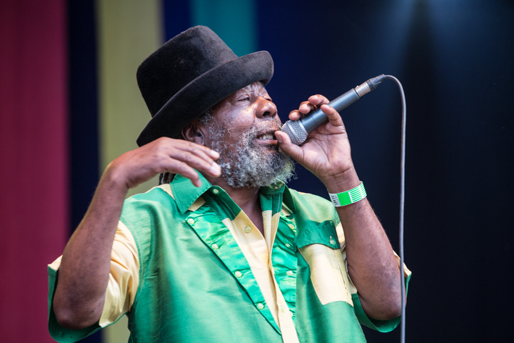 Reggae Geel editie 2014 - Zaterdag, picture 87, photographed by Stef Dierckx - FrontView Magazine