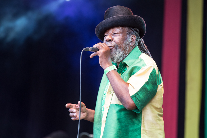 Reggae Geel editie 2014 - Zaterdag, picture 89, photographed by Stef Dierckx - FrontView Magazine