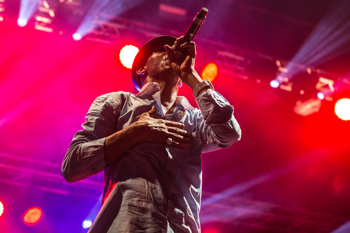 Reggae Geel editie 2014 - Zaterdag, picture 106, photographed by Stef Dierckx - FrontView Magazine
