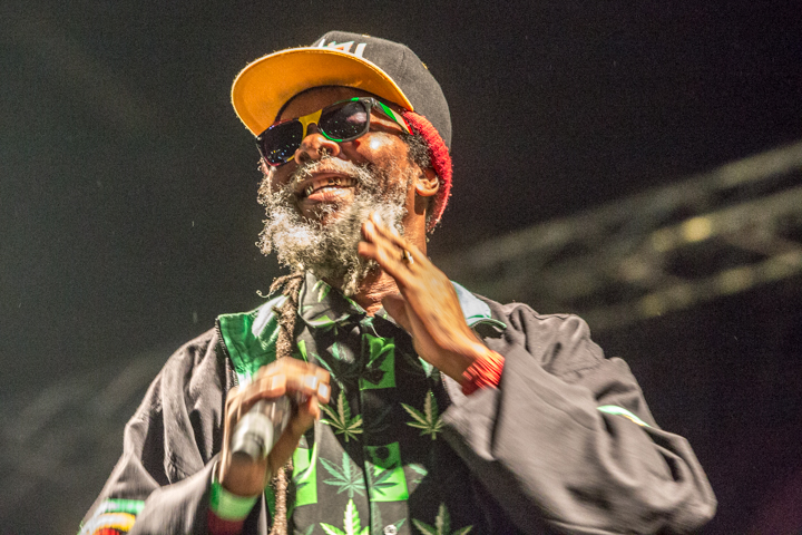Reggae Geel editie 2014 - Zaterdag, picture 138, photographed by Stef Dierckx - FrontView Magazine