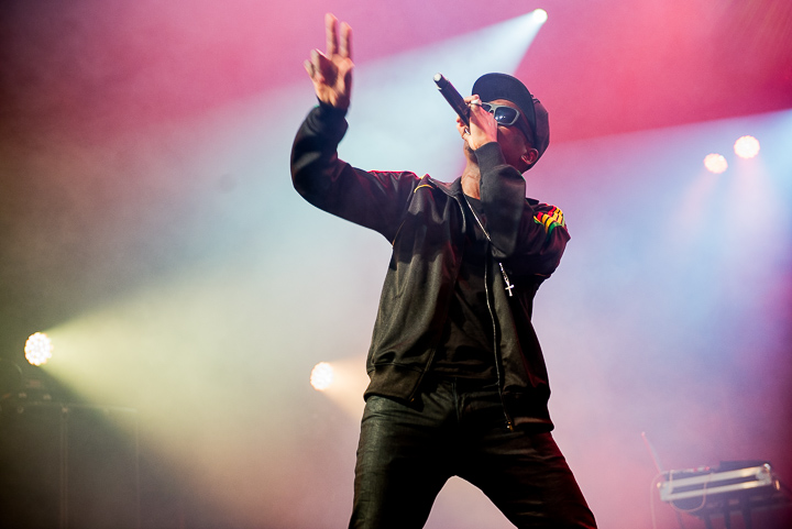 Busy Signal Feest in het park, picture 8, photographed by Youri Vanlommel - FrontView Magazine
