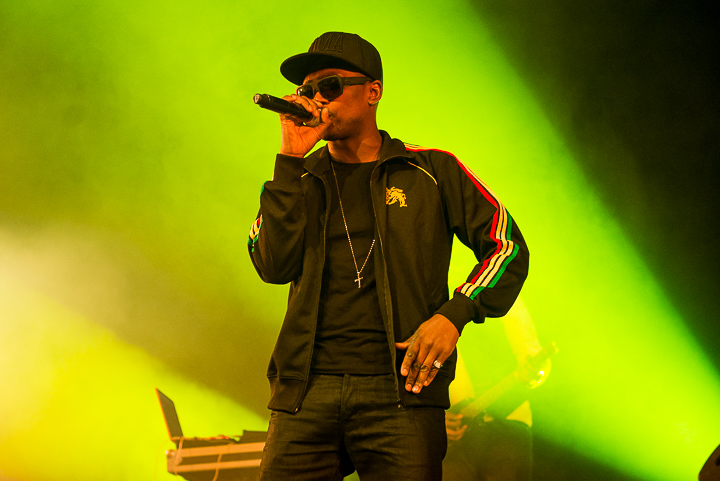 Busy Signal Feest in het park, picture 13, photographed by Youri Vanlommel - FrontView Magazine