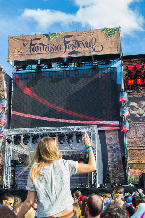 Fantasia Festival 2014 @ Hamme-Zogge, picture 17, photographed by Tom Van Tongerloo - FrontView Magazine