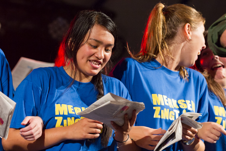 Vlaanderen Zingt 2014 - Sfeerbeelden @ Merksem, picture 46, photographed by Guy Danneels - FrontView Magazine
