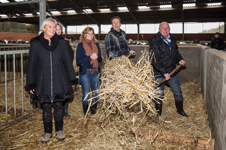 Boer zocht vrouw - Persvoorstelling @ Wuustwezel, foto 33, foto's door Guy Danneels - FrontView Magazine