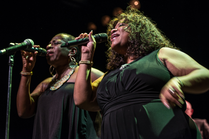 Sharon Jones & The Dap-Kings @ Het Depot, picture 2, photographed by Jan van Hecke - FrontView Magazine