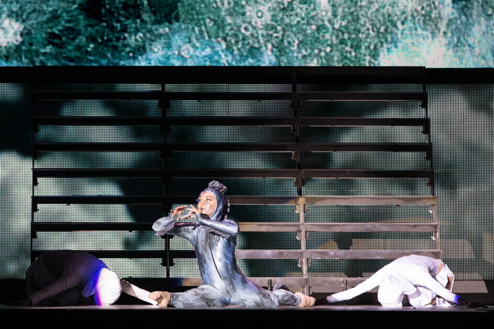 Lord of the Dance @ Lotto Arena, picture 4, photographed by Dorien Goetschalckx - FrontView Magazine