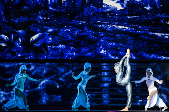 Lord of the Dance @ Lotto Arena, picture 6, photographed by Dorien Goetschalckx - FrontView Magazine