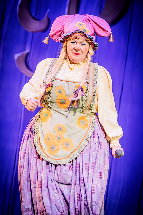 De Grote Sinterklaasshow 2014 @ Sportpaleis, foto 12, foto's door Elke Briers - FrontView Magazine