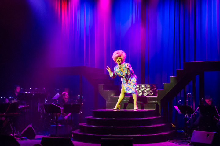 Hotel Vocal - Jubileumshow @ Fakkelteater te Antwerpen, picture 25, photographed by Guy Danneels - FrontView Magazine