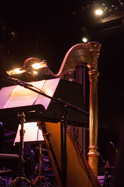 Lord of the Rings in Concert @ Sportpaleis, picture 3, photographed by Alex Wyckmans - FrontView Magazine