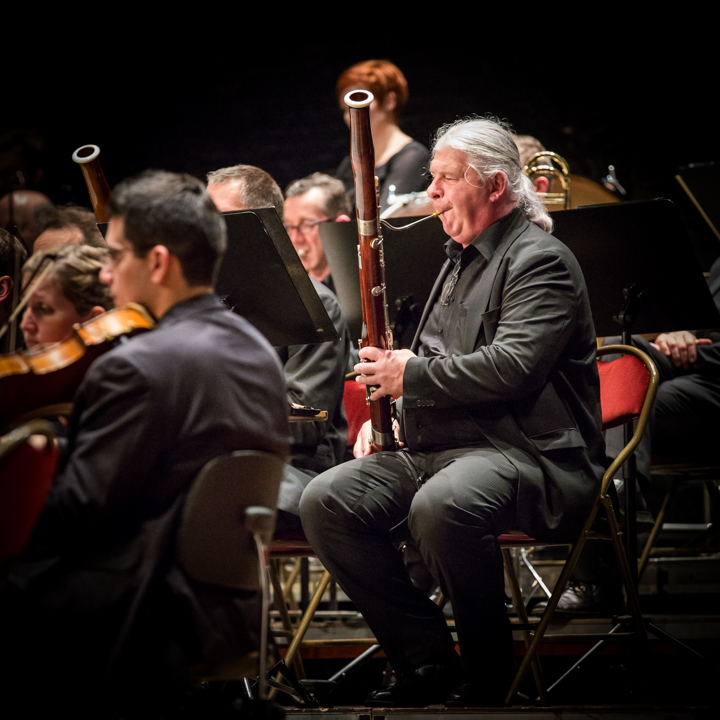 deFilharmonie - Nieuwjaarsconcert @ De Roma, picture 41, photographed by Guy Danneels - FrontView Magazine