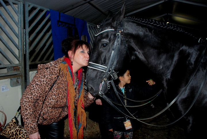 Apassionata @ Bielefeld, picture 9, photographed by Peter Minnebo - FrontView Magazine