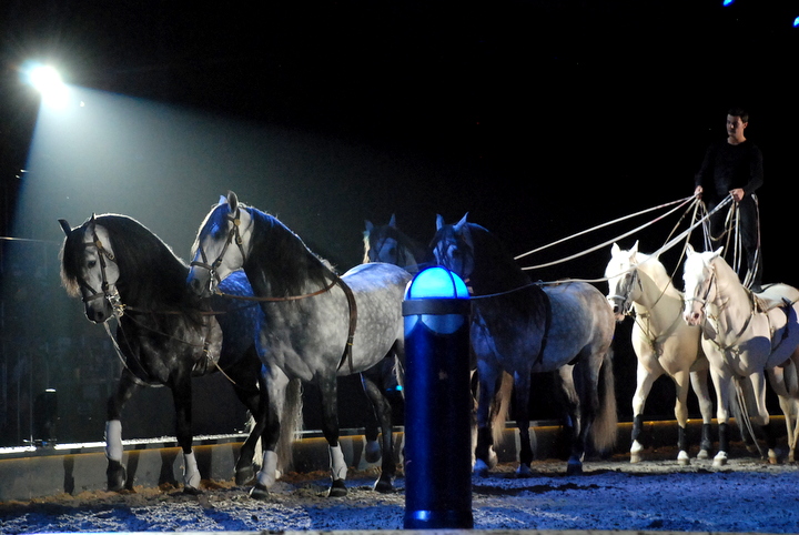 Apassionata @ Bielefeld, picture 17, photographed by Peter Minnebo - FrontView Magazine