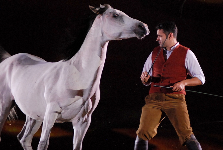 Apassionata @ Bielefeld, picture 26, photographed by Peter Minnebo - FrontView Magazine