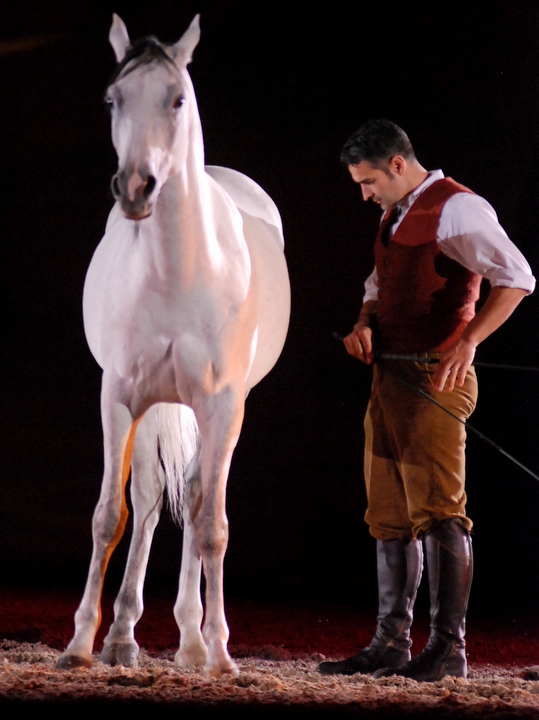 Apassionata @ Bielefeld, picture 28, photographed by Peter Minnebo - FrontView Magazine
