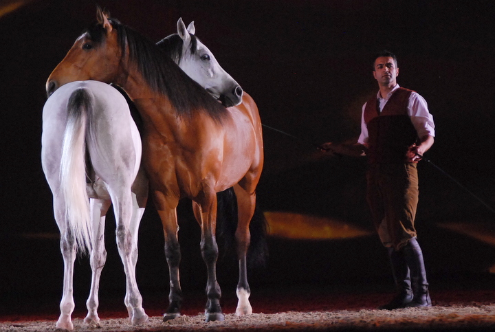 Apassionata @ Bielefeld, picture 33, photographed by Peter Minnebo - FrontView Magazine