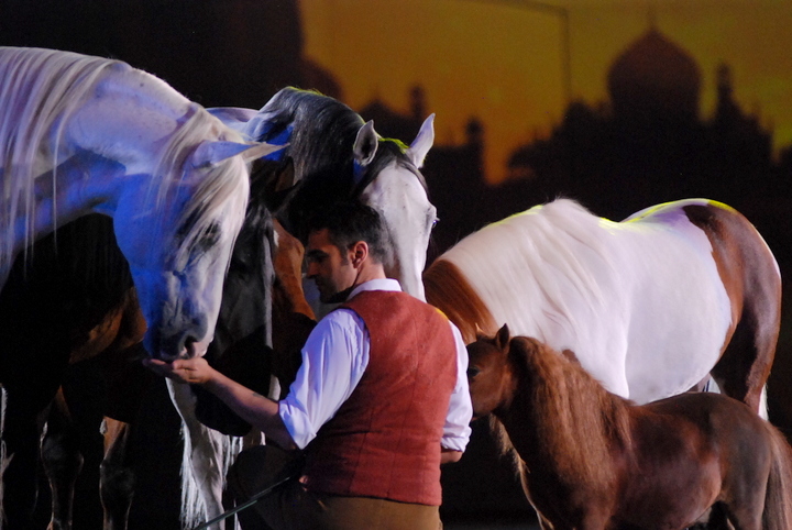 Apassionata @ Bielefeld, picture 38, photographed by Peter Minnebo - FrontView Magazine