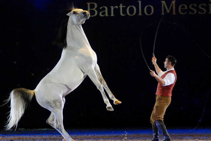 Apassionata @ Bielefeld, picture 43, photographed by Peter Minnebo - FrontView Magazine