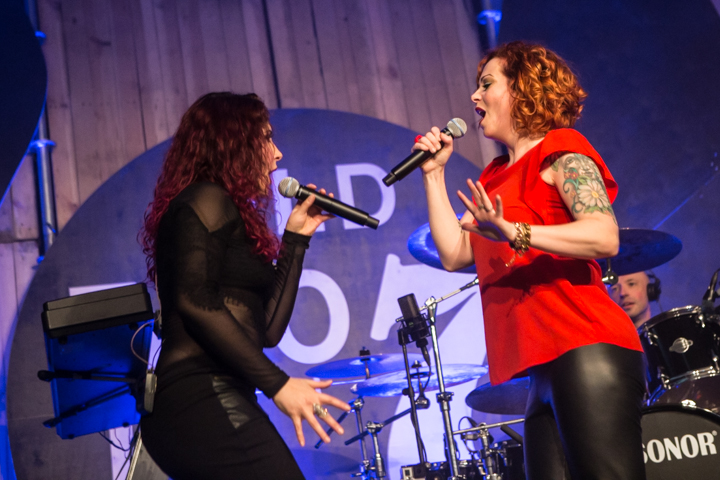 The Gentle Storm @ Paaspop 2015, picture 34, photographed by Dorien Goetschalckx - FrontView Magazine