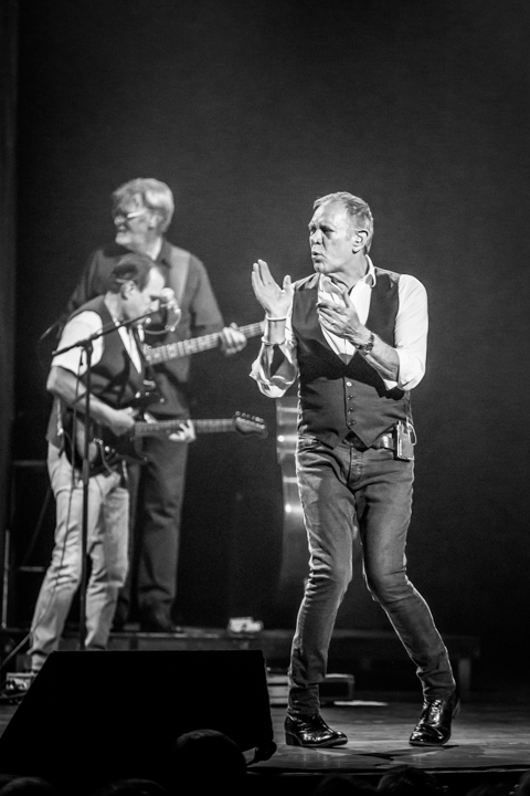 Rob de Nijs @ Capitole te Gent, picture 23, photographed by Guy Danneels - FrontView Magazine