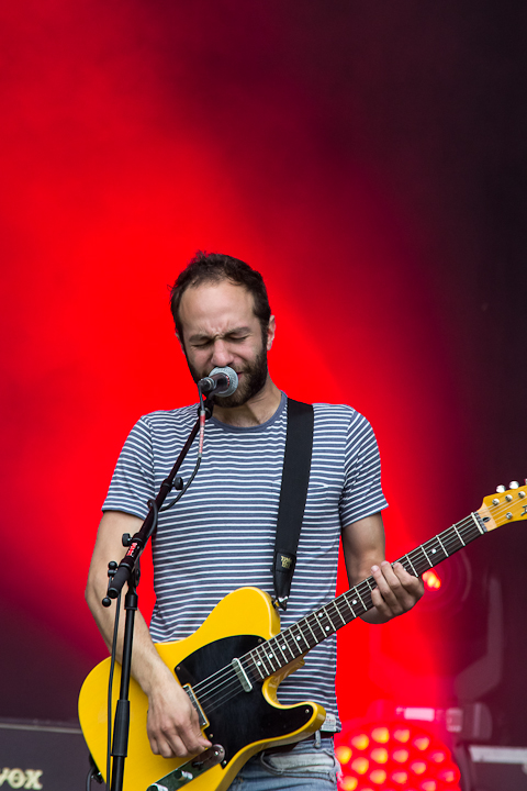 Bluesem @ Brasschaat, picture 1, photographed by Walter Grimm - FrontView Magazine