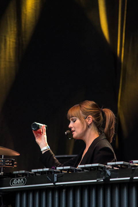 Bluesem @ Brasschaat, picture 59, photographed by Walter Grimm - FrontView Magazine