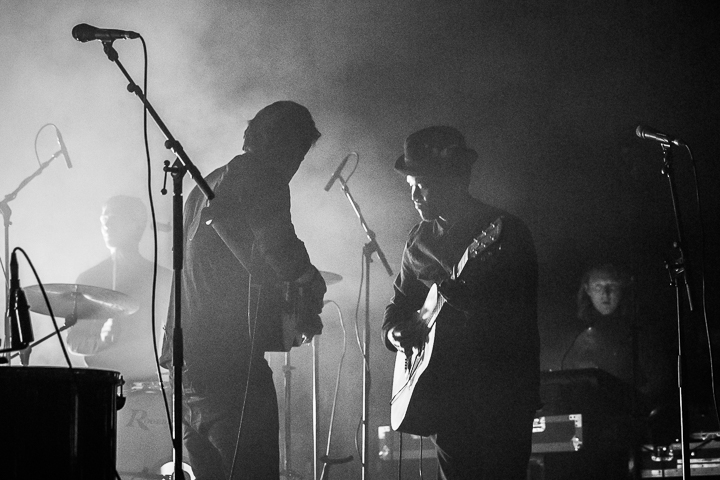 Dotan @ Gladiolen 2015 Dag 1, foto 8, foto's door Guy Danneels - FrontView Magazine