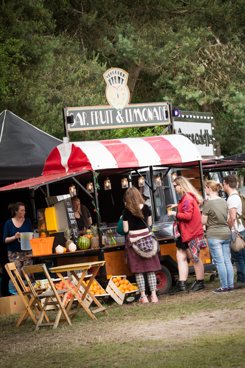 Sfeerbeelden @ Best Kept Secret Festival 2015 - Dag 3, picture 13, photographed by Tom Stessens - FrontView Magazine
