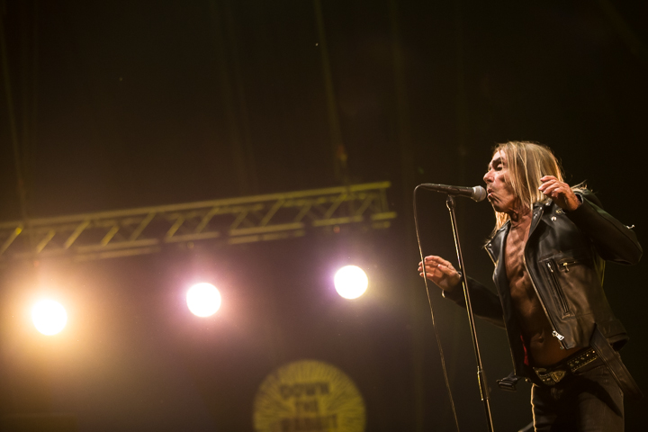 Iggy Pop @ Down The Rabbit Hole 2015, picture 1, photographed by Dorien Goetschalckx - FrontView Magazine