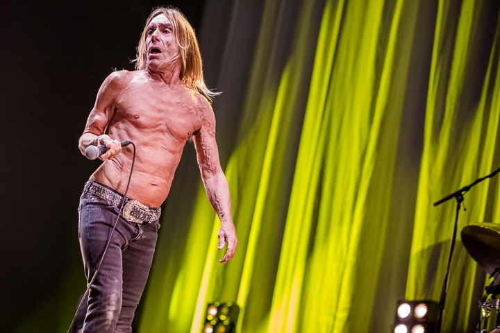 Iggy Pop @ Down The Rabbit Hole 2015, picture 8, photographed by Dorien Goetschalckx - FrontView Magazine
