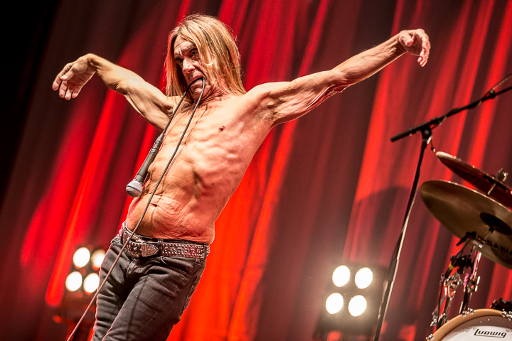 Iggy Pop @ Down The Rabbit Hole 2015, picture 11, photographed by Dorien Goetschalckx - FrontView Magazine