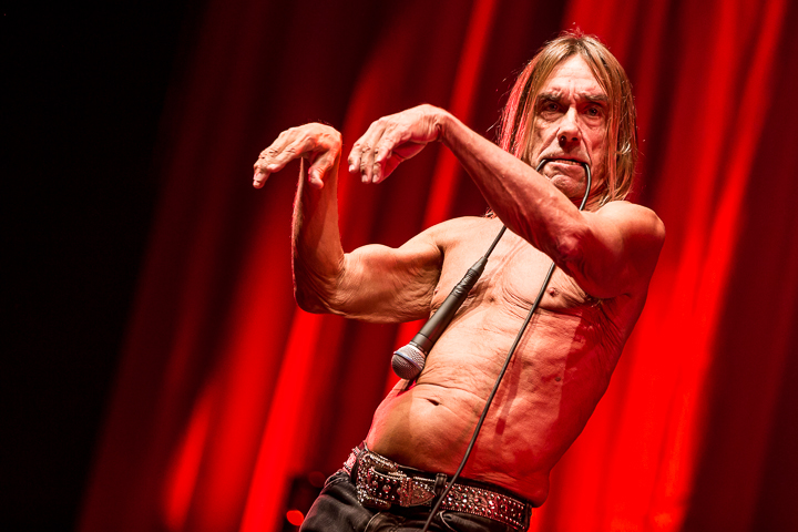 Iggy Pop @ Down The Rabbit Hole 2015, picture 12, photographed by Dorien Goetschalckx - FrontView Magazine