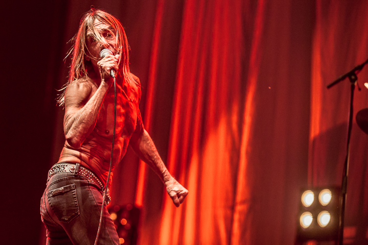 Iggy Pop @ Down The Rabbit Hole 2015, picture 14, photographed by Dorien Goetschalckx - FrontView Magazine