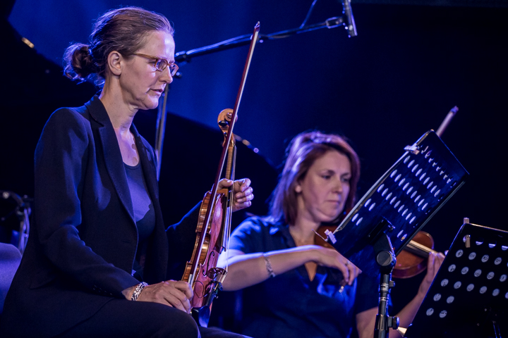 Max Richter @ Down The Rabbit Hole 2015, picture 5, photographed by Dorien Goetschalckx - FrontView Magazine