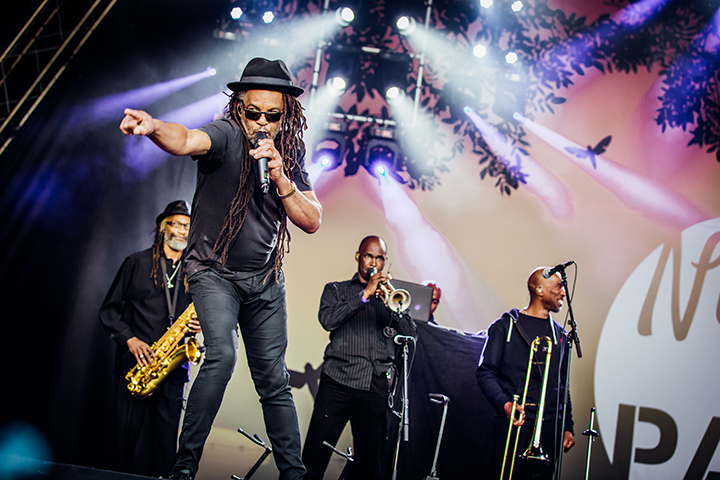 UB40 @ Night at the Park 2015, picture 5, photographed by Elke Briers - FrontView Magazine