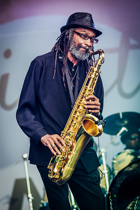 UB40 @ Night at the Park 2015, picture 8, photographed by Elke Briers - FrontView Magazine