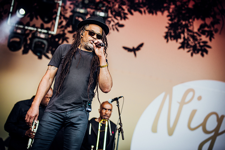 UB40 @ Night at the Park 2015, picture 10, photographed by Elke Briers - FrontView Magazine
