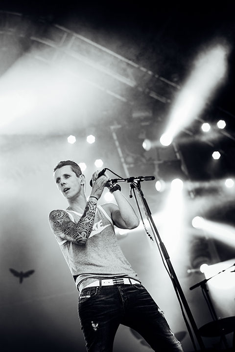 K's Choice @ Night at the Park 2015, picture 11, photographed by Elke Briers - FrontView Magazine