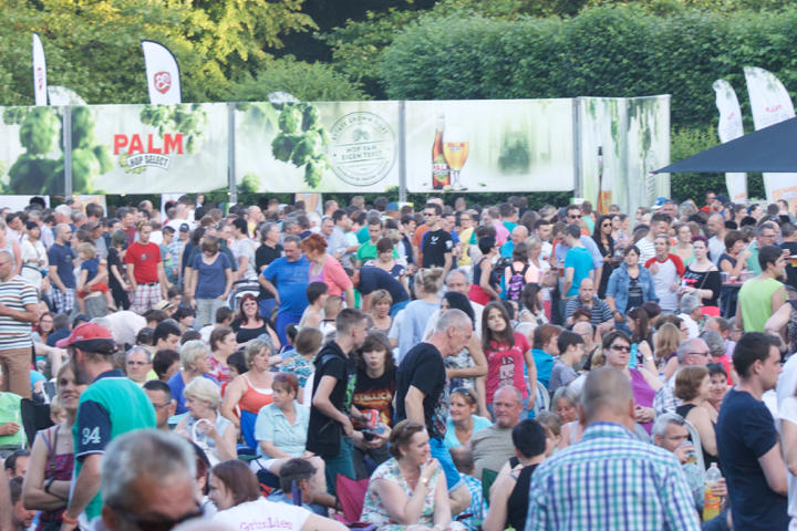 Palm Parkies Sfeer @ Aalst, picture 7, photographed by Bart Baevegems - FrontView Magazine