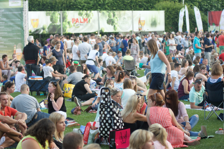 Palm Parkies Sfeer @ Aalst, picture 9, photographed by Bart Baevegems - FrontView Magazine