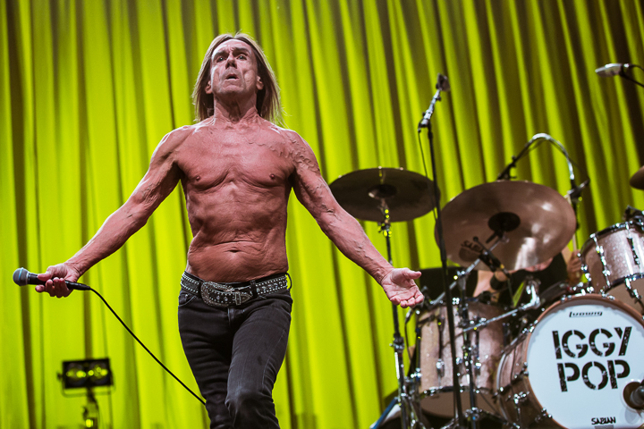 Iggy Pop @ Les Ardentes 2015, foto 2, foto's door Dorien Goetschalckx - FrontView Magazine